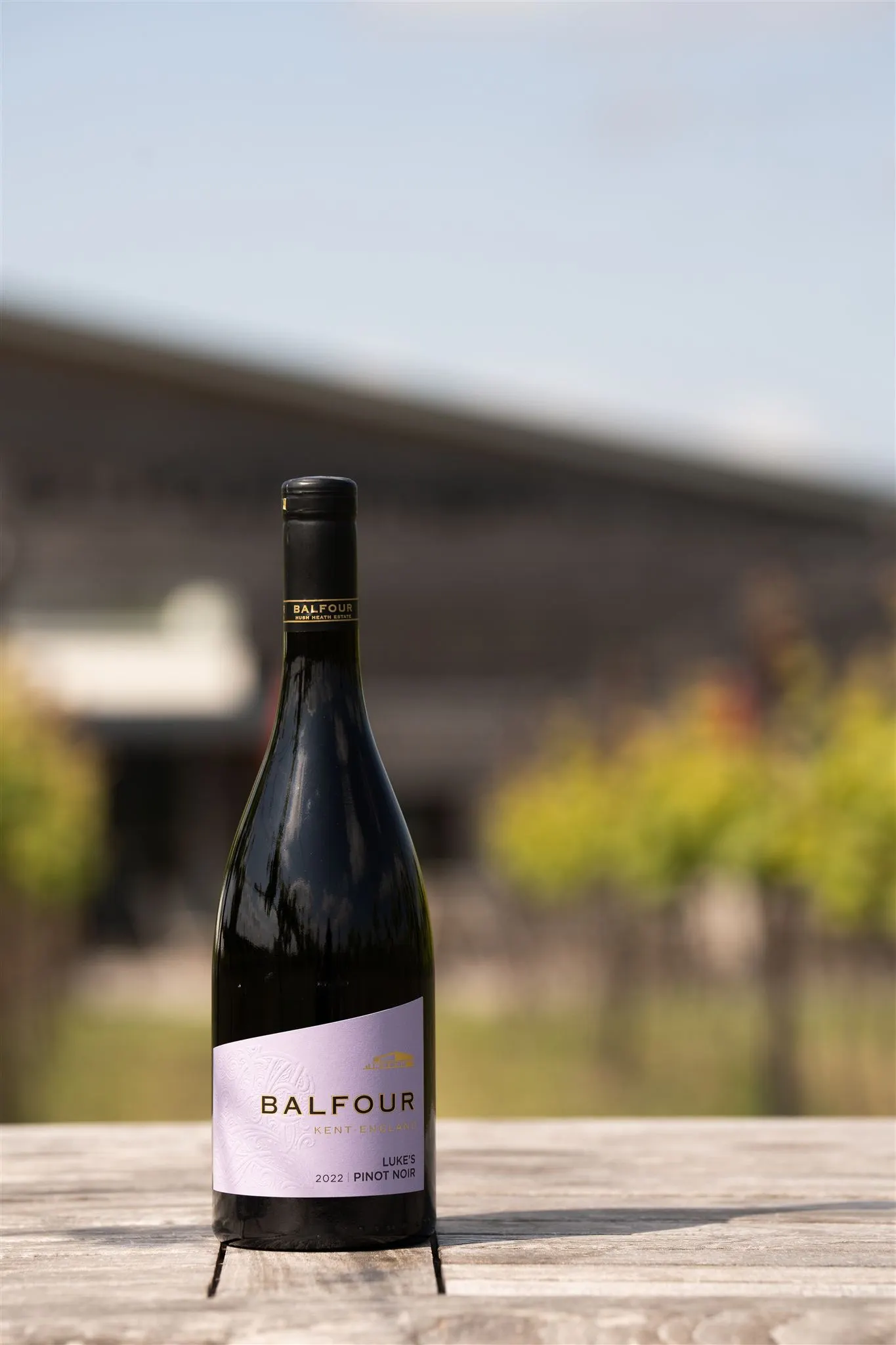 Luke's Pinot Noir 2023 Balfour Winery