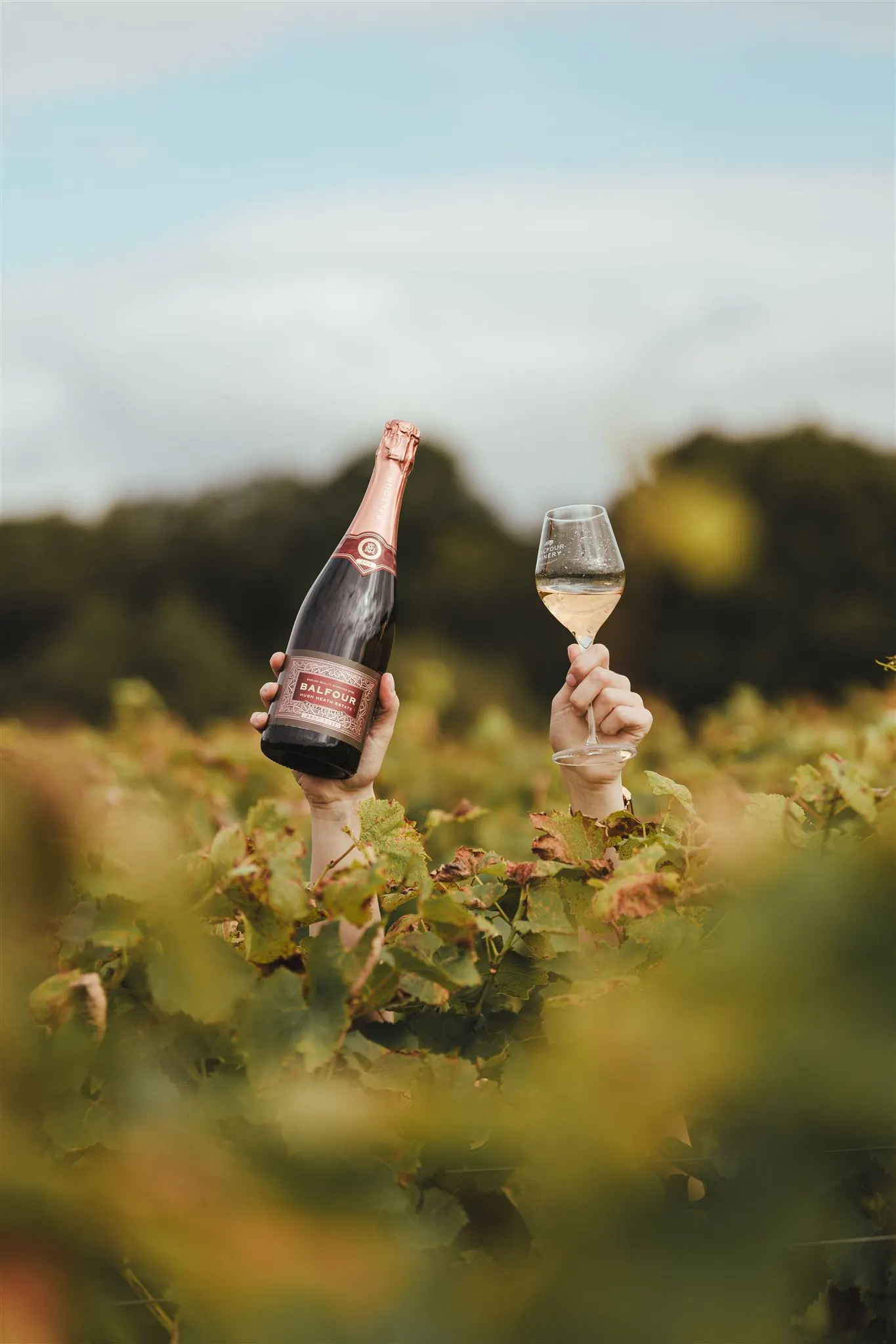 Balfour Brut Rosé 2021 - Image 4