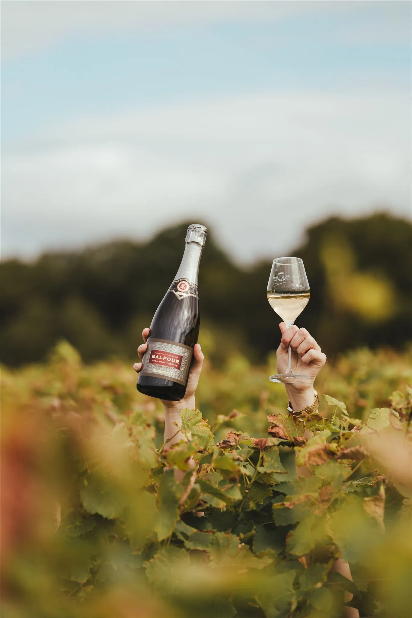 Balfour Blanc de Blancs 2022