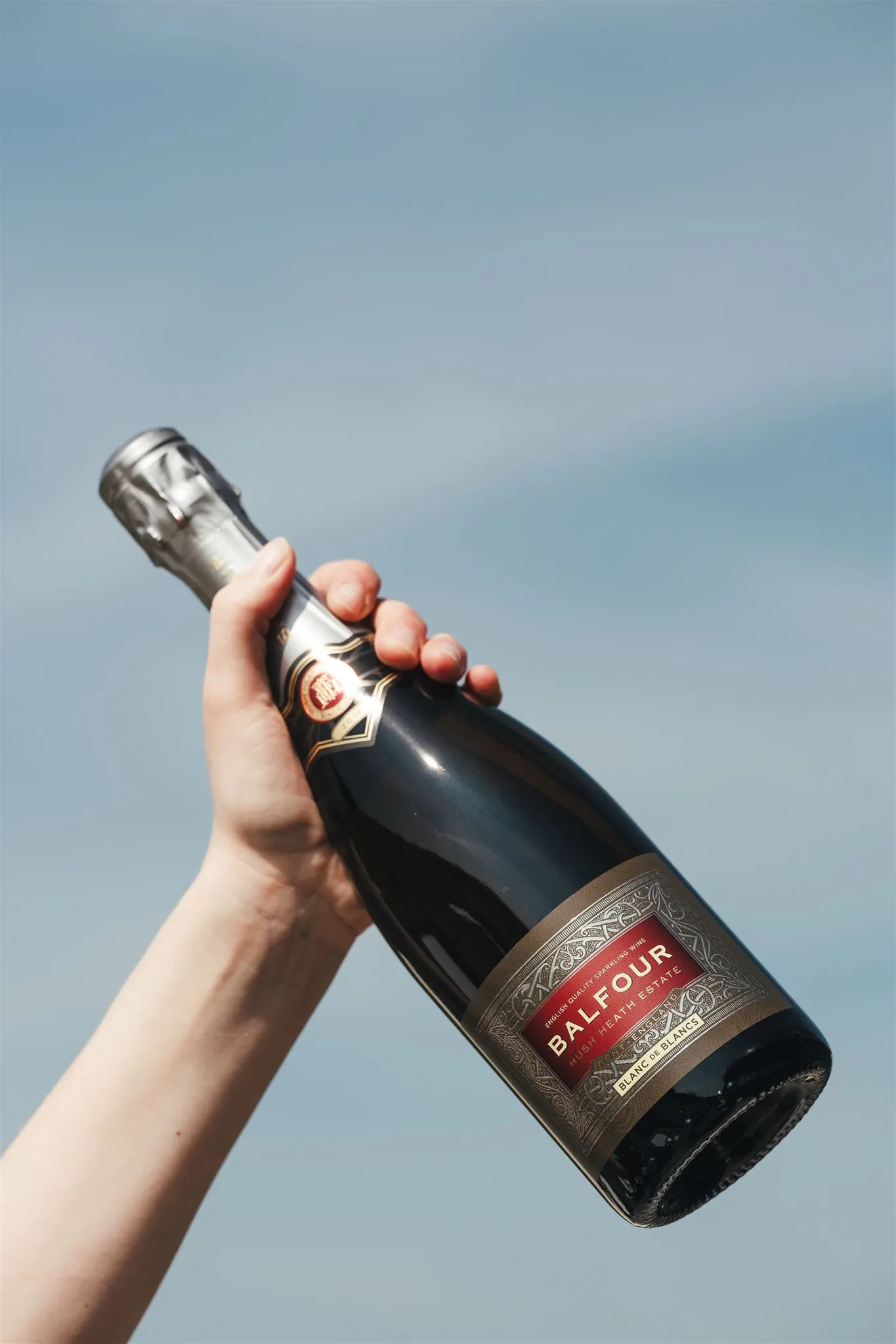 Balfour Blanc de Blancs 2018 Magnum SOLD OUT - Image 3