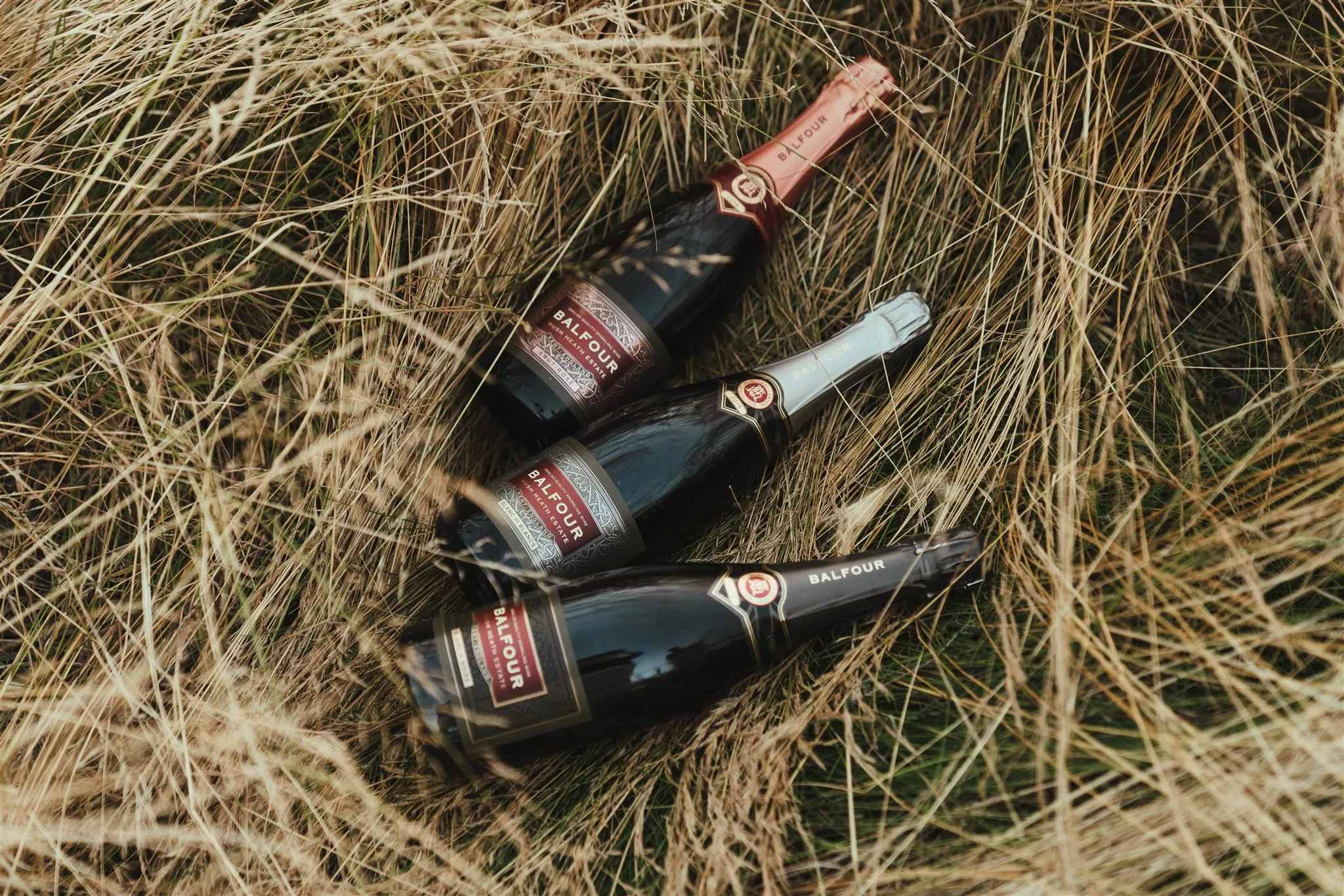 Balfour Blanc de Blancs 2018 Magnum SOLD OUT - Image 4