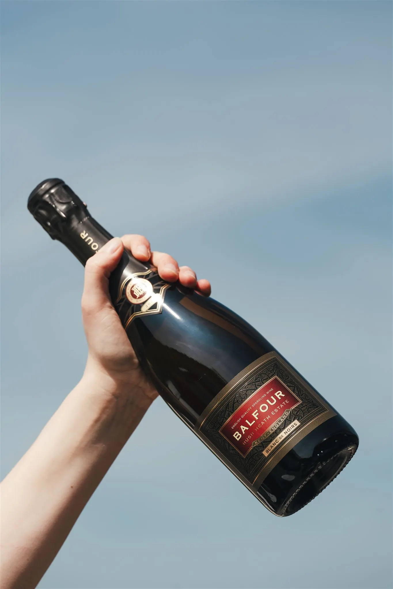 Balfour Blanc de Noirs 2022